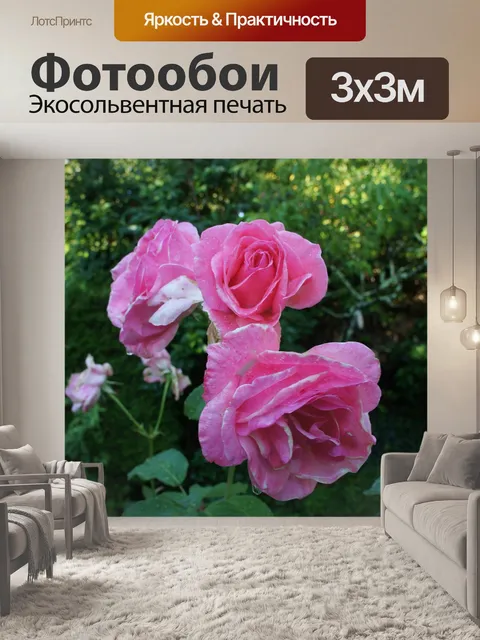Фотообои Розы