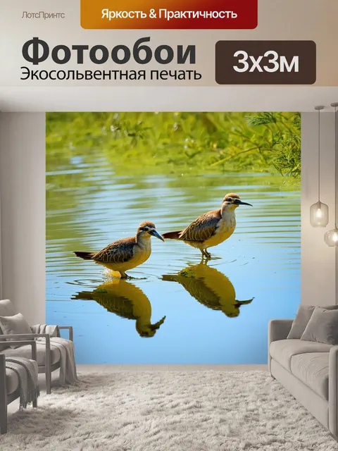 Фотообои птицы, купающиеся в маленьком пруду с отражениями, в стиле импрессионизма, отображающем игру света и воды