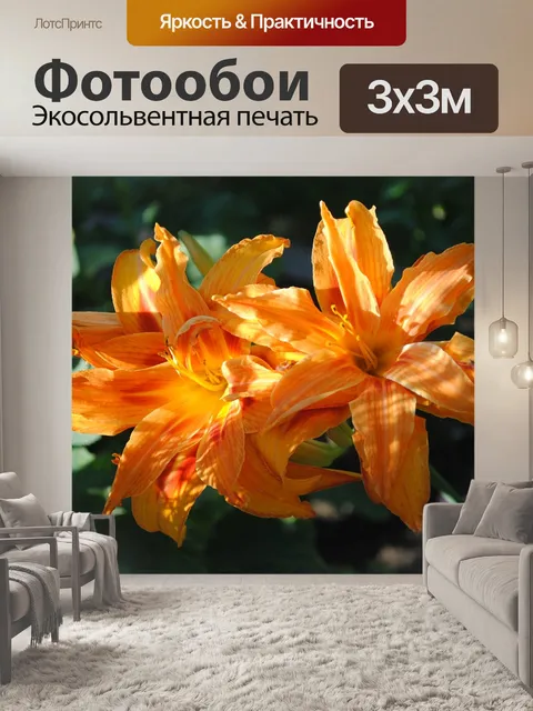Фотообои Лилии