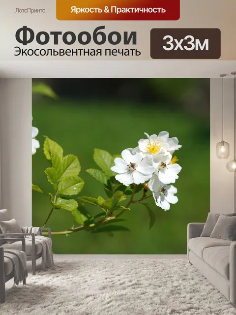 Фотообои Цветы