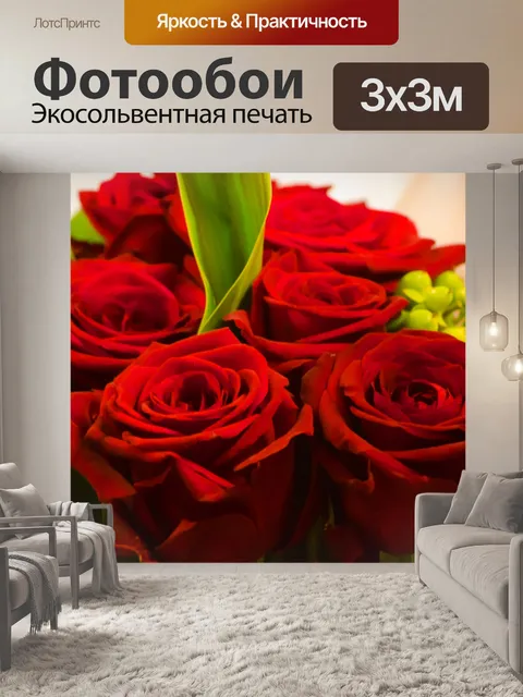 Фотообои Красная роза - День святого Валентина