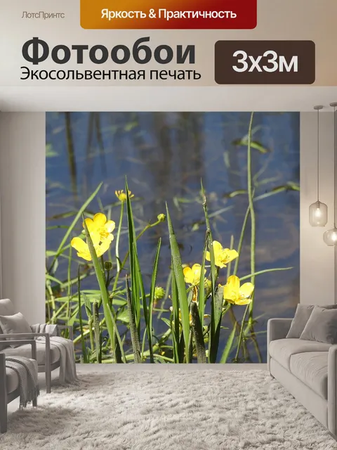 Фотообои Желтый цветок