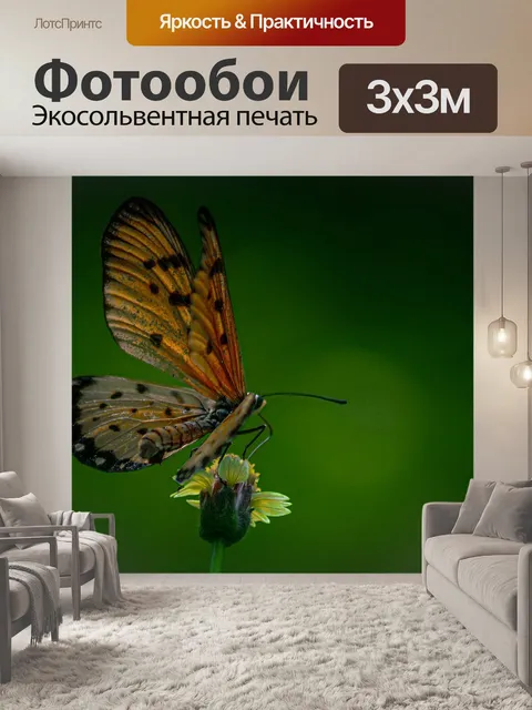 Фотообои Бабочка
