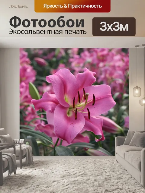 Фотообои Красивый