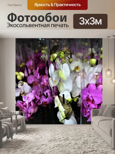 Фотообои Орхидея