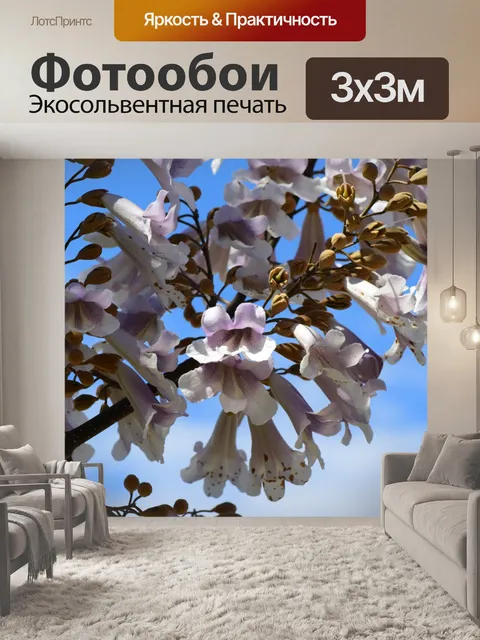 Фотообои Цветы