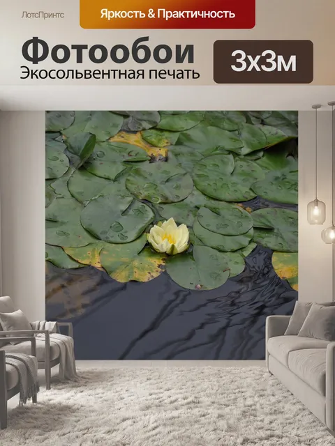 Фотообои Лотос