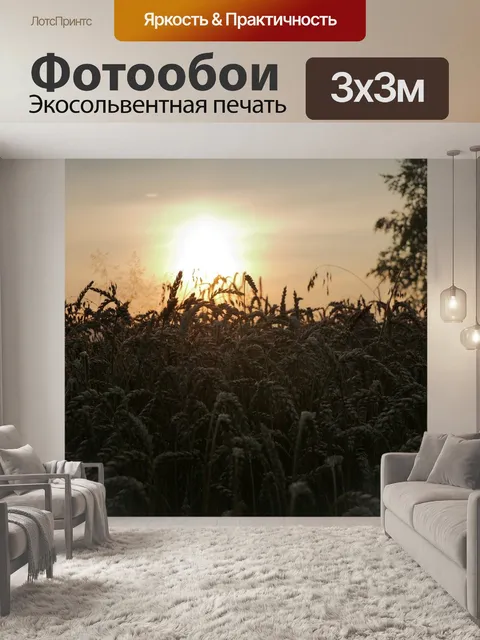 Фотообои Поле