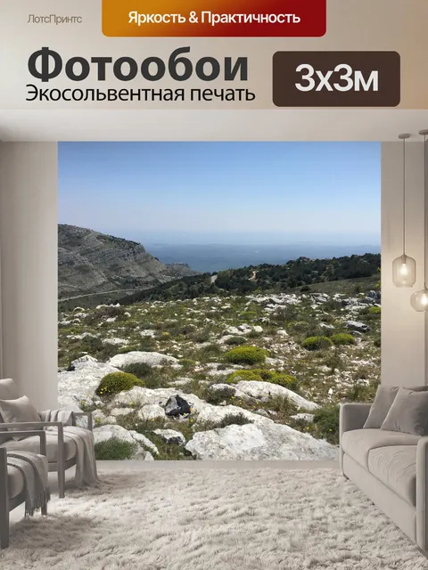 Фотообои Франция