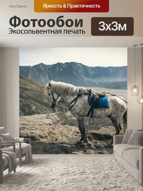 Фотообои Лошадь