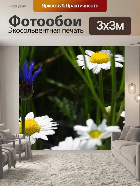 Фотообои Луг