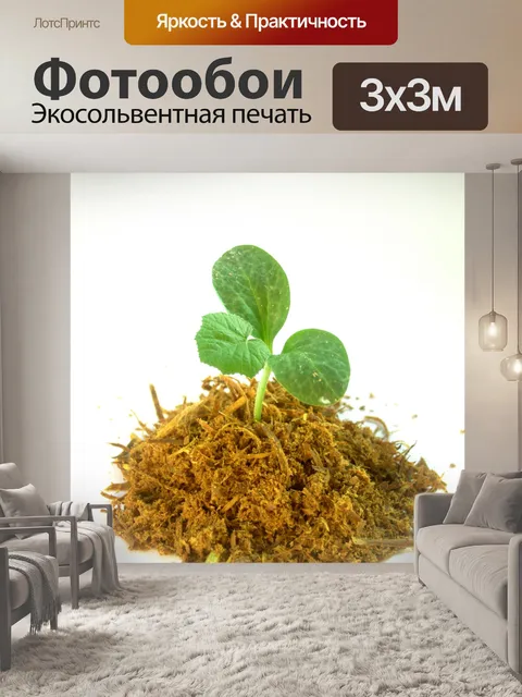 Фотообои Молодое дерево