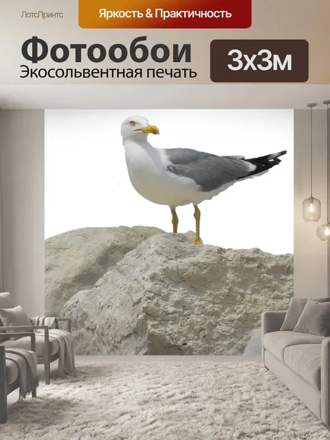 Фотообои Птица