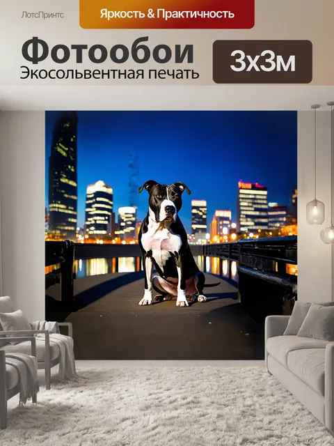 Фотообои американский стаффордширский терьер позирует на фоне городского пейзажа, где небоскребы отражают вечерние огни