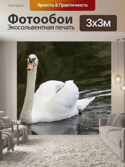 Фотообои Птиц