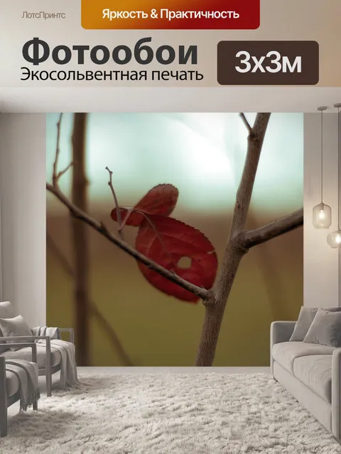 Фотообои Рыбы