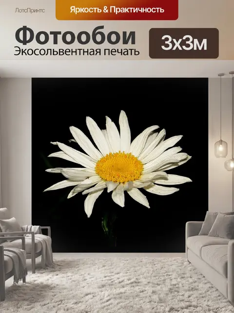 Фотообои Цветок