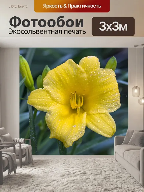 Фотообои Цветок