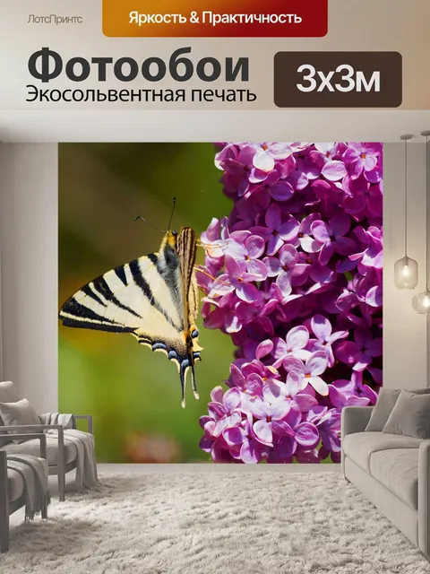 Фотообои Бабочки