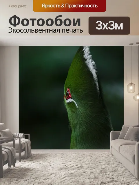 Фотообои Птица