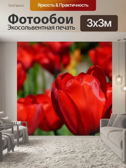 Фотообои Тюльпаны