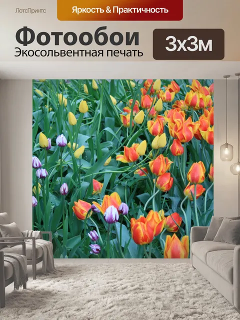 Фотообои ботанические сады, москва (7)