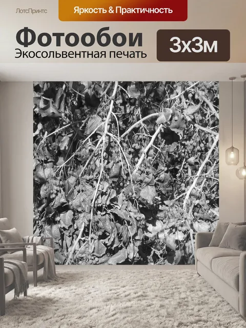 Фотообои Лист текстуры III