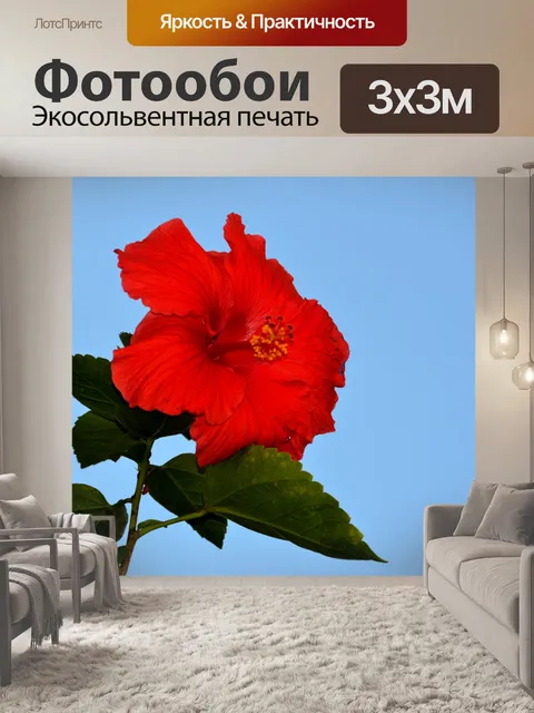 Фотообои Красный цветок гибискуса