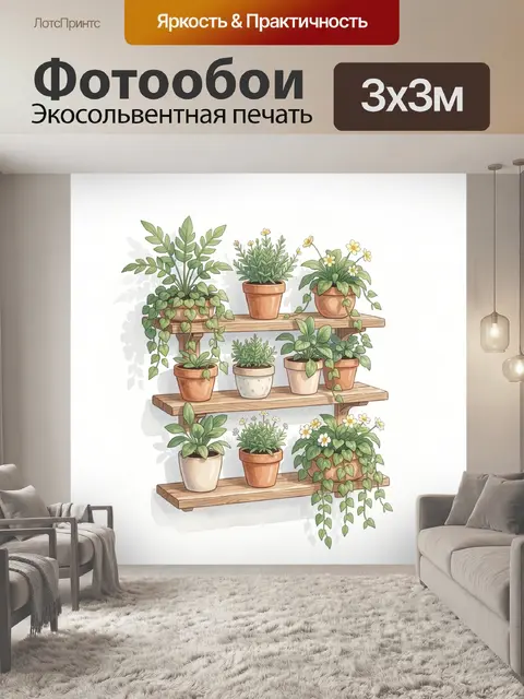 Фотообои Комнатные растения на полках