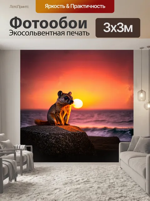 Фотообои вечером, когда солнце садится за горизонт, даман сидит на огромном камне, освещенном золотистым светом