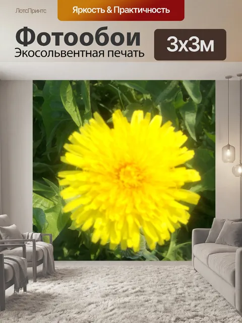 Фотообои Блестящий Одуванчик