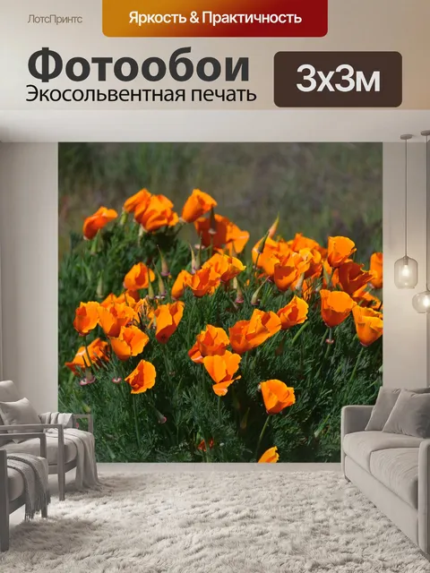 Фотообои Маки