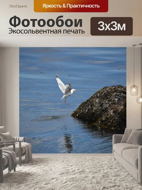 Фотообои Птица на скалах