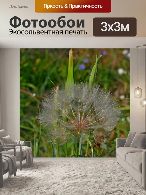 Фотообои Одуванчик