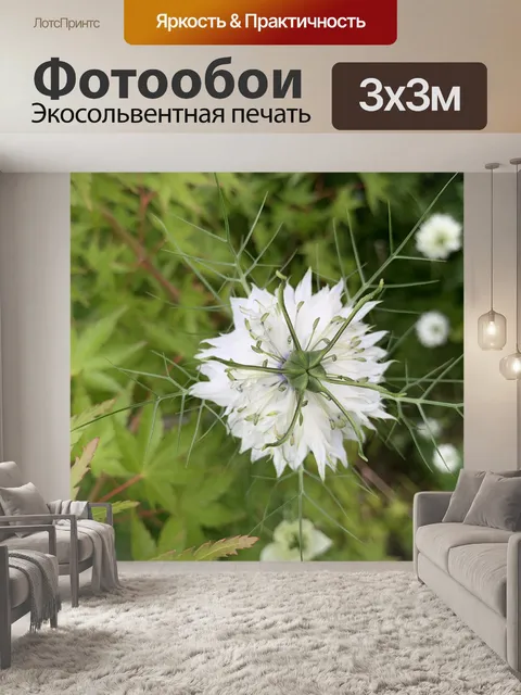 Фотообои Цветы