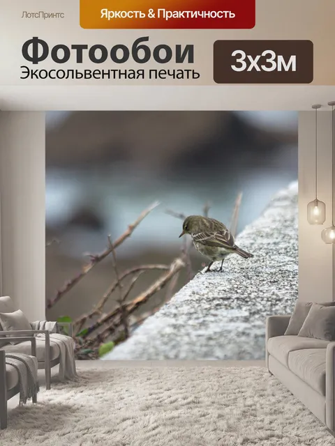 Фотообои Маленькая птичка возле ежевики
