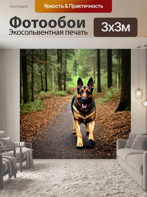 Фотообои сцена немецкой овчарки