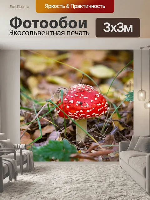 Фотообои Осень