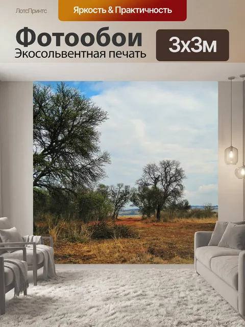 Фотообои деревья и Вельд