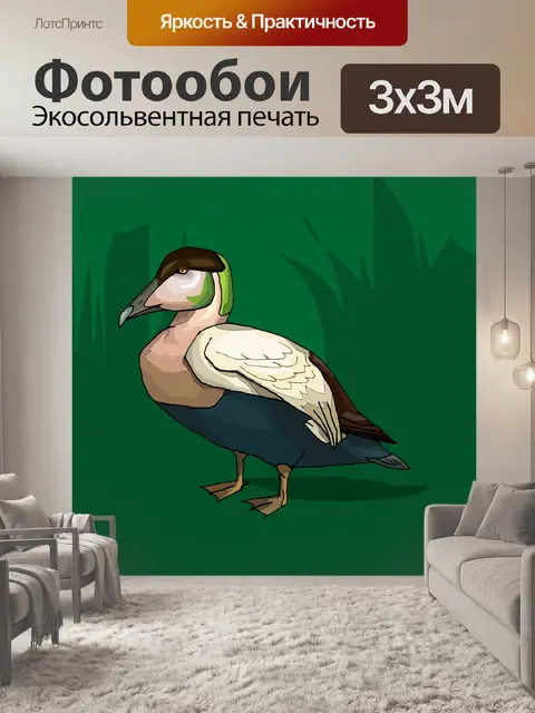 Фотообои (тропических) птицы
