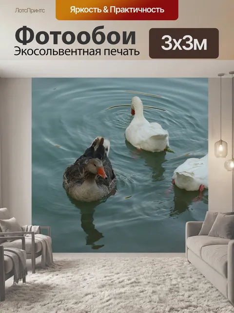 Фотообои Гуси