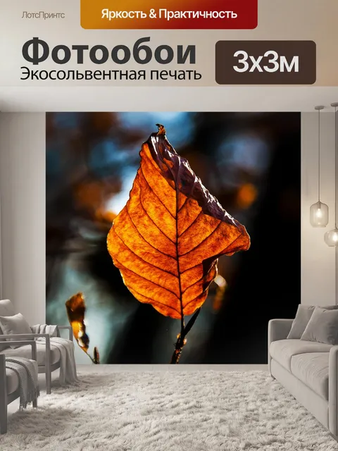 Фотообои Осень
