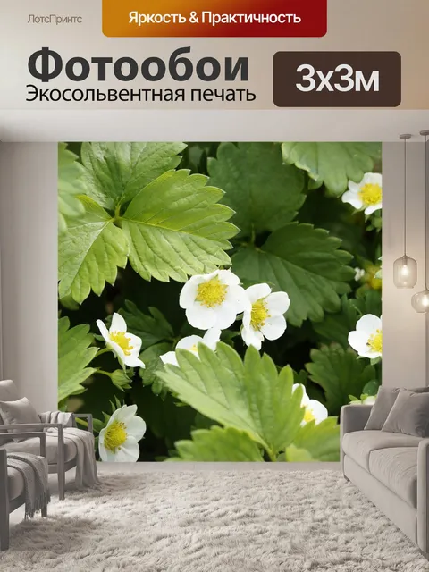 Фотообои Клубника