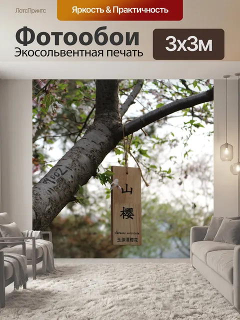 Фотообои Вишни в цвету