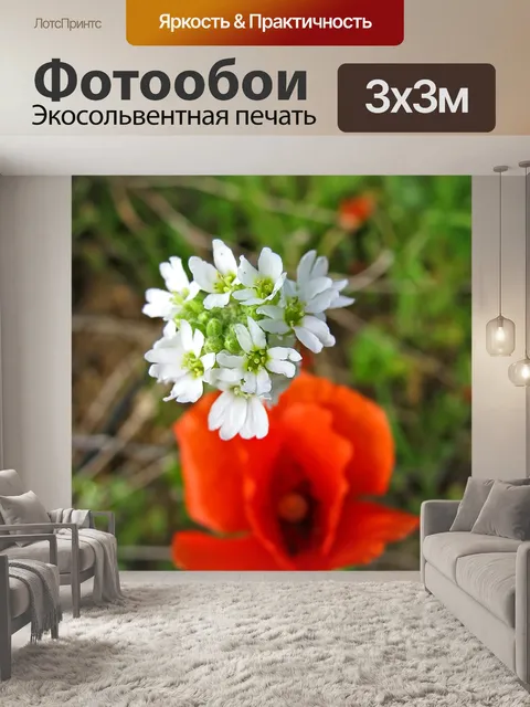 Фотообои Цветы