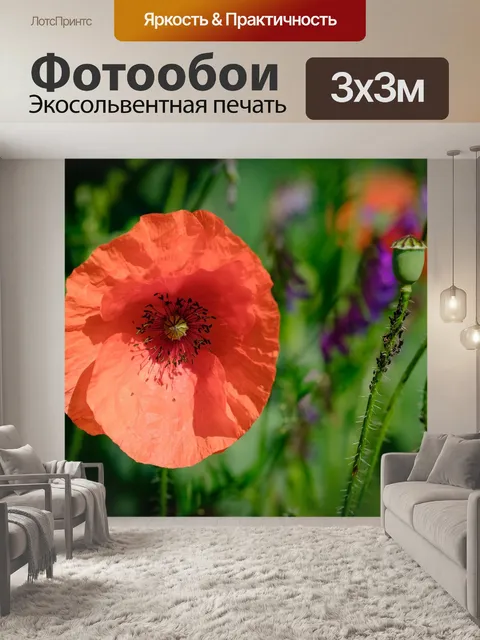 Фотообои Цветы