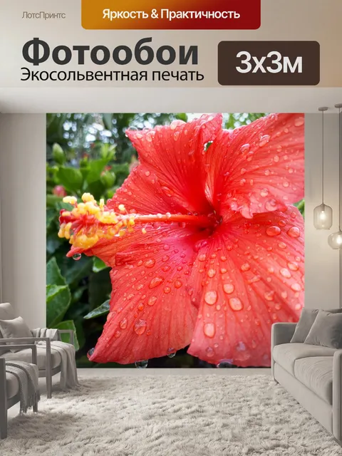 Фотообои Цветок в саду