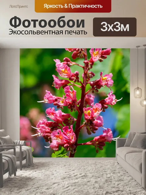 Фотообои Весенние цветы