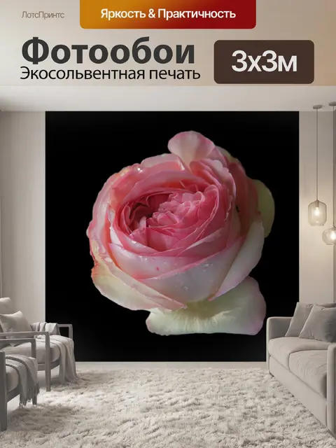 Фотообои Розы