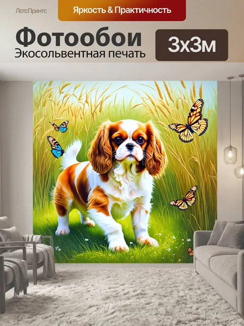 Фотообои летний день на природе, где кавалер кинг чарльз спаниель играется с бабочками среди высоких трав